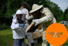 VIP Exkurze na včelí farmě pro rodinu s dětmi
