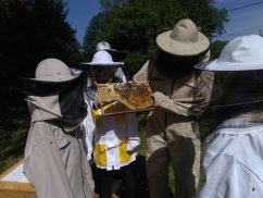Exkurze na včelí farmě pro MŠ, ZŠ a SŠ