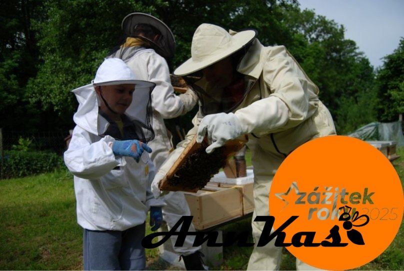 VIP Exkurze na včelí farmě pro rodinu s dětmi