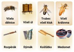 Kartičky pro děti s PAS ZDARMA
