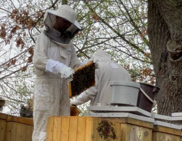 Venkovské tradice spojené s včelami a venkovským životem 🐝🏡