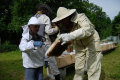 Exkurze na včelí farmě pro jednotlivce i skupiny
