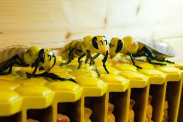 Článek o naší farmě v Publico