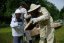 Exkurze na včelí farmě pro jednotlivce i skupiny - Exkurze jednotlivci a skupiny: Od 16 do 25 osob bez výroby svíček