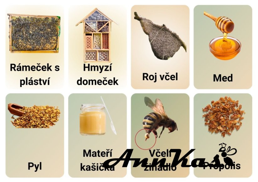 Kartičky pro děti s PAS ZDARMA