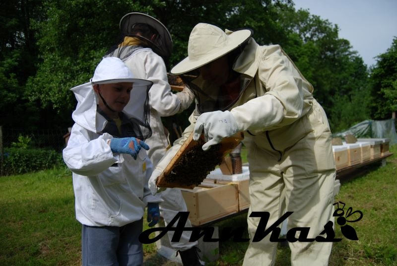 Exkurze na včelí farmě pro jednotlivce i skupiny