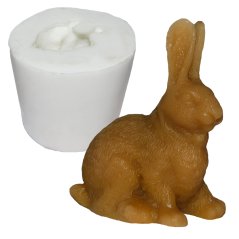 Forma zajíc střední