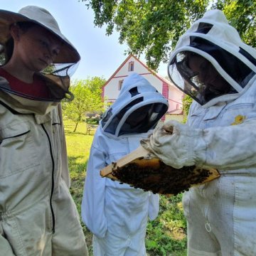 Exkurze - Úniková hra - Mistr úlu - 5 osob