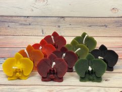 Svíčka ze včelího vosku orchidej malá