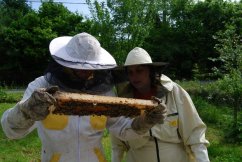 VIP Exkurze na včelí farmě pro dvě osoby.