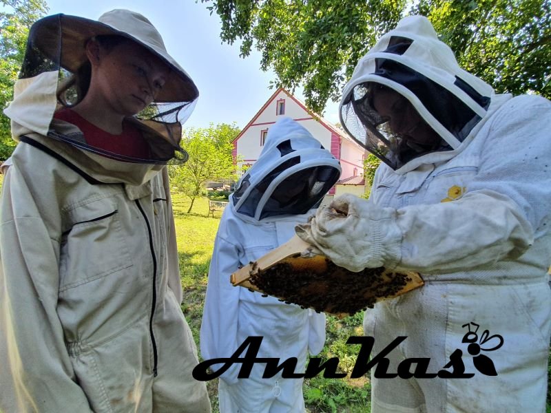 VIP Exkurze na včelí farmě pro rodinu s dětmi