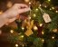 Ozdoba ze včelího vosku anděl loutna - Barva: borůvkové