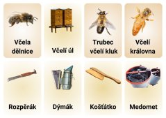 Kartičky pro děti s PAS ZDARMA