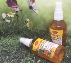 Dentamint ústní sprej med + propolis velký