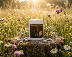 Propolisové tablety Promentolis
