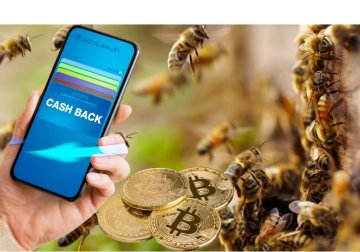 15.3.25 Včelí farma AnnKas vrací 1 % z nákupu zpět – v Bitcoinu!