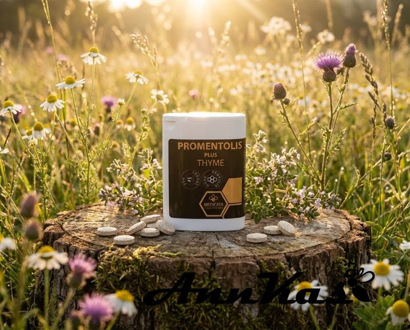 Propolisové tablety Promentolis