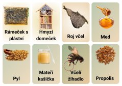 Kartičky pro děti s PAS ZDARMA