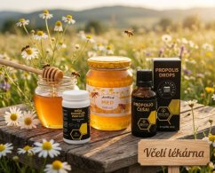 Včelí lékárnička na vitalitu a dlouhověkost