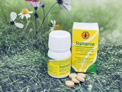 Propolisové tablety Septoprop